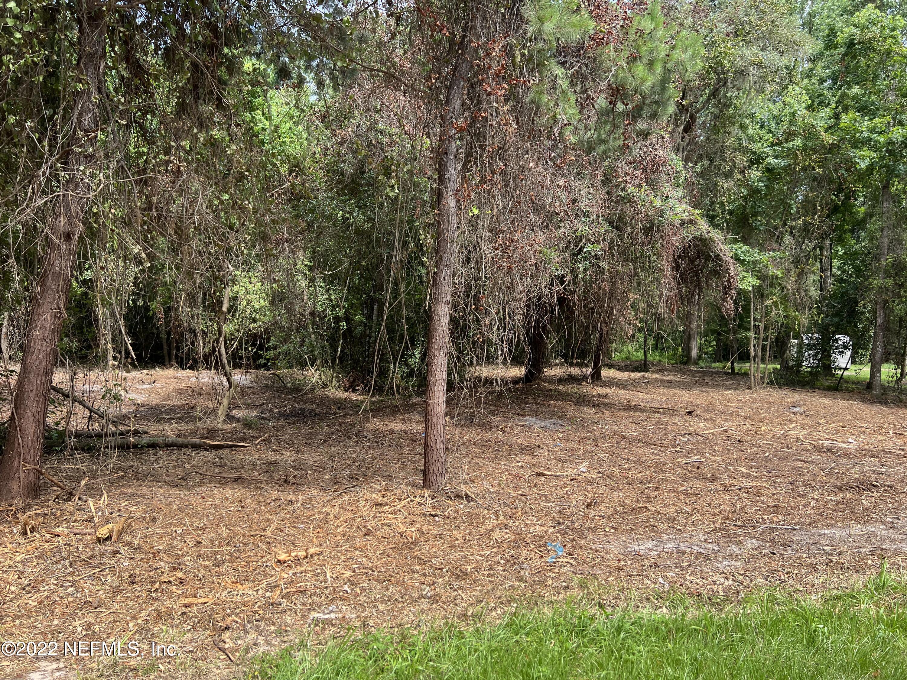 4070 Honeysuckle Circle Middleburg, FL 32068 - Photo 5 of 6 5