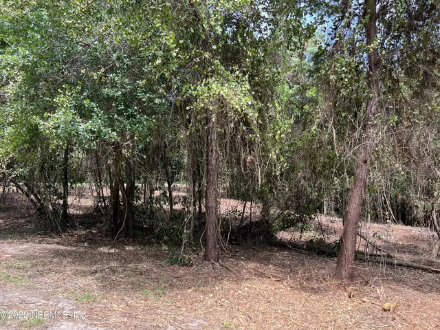 $164,900 | 4070 Honeysuckle Circle, Middleburg, FL 32068