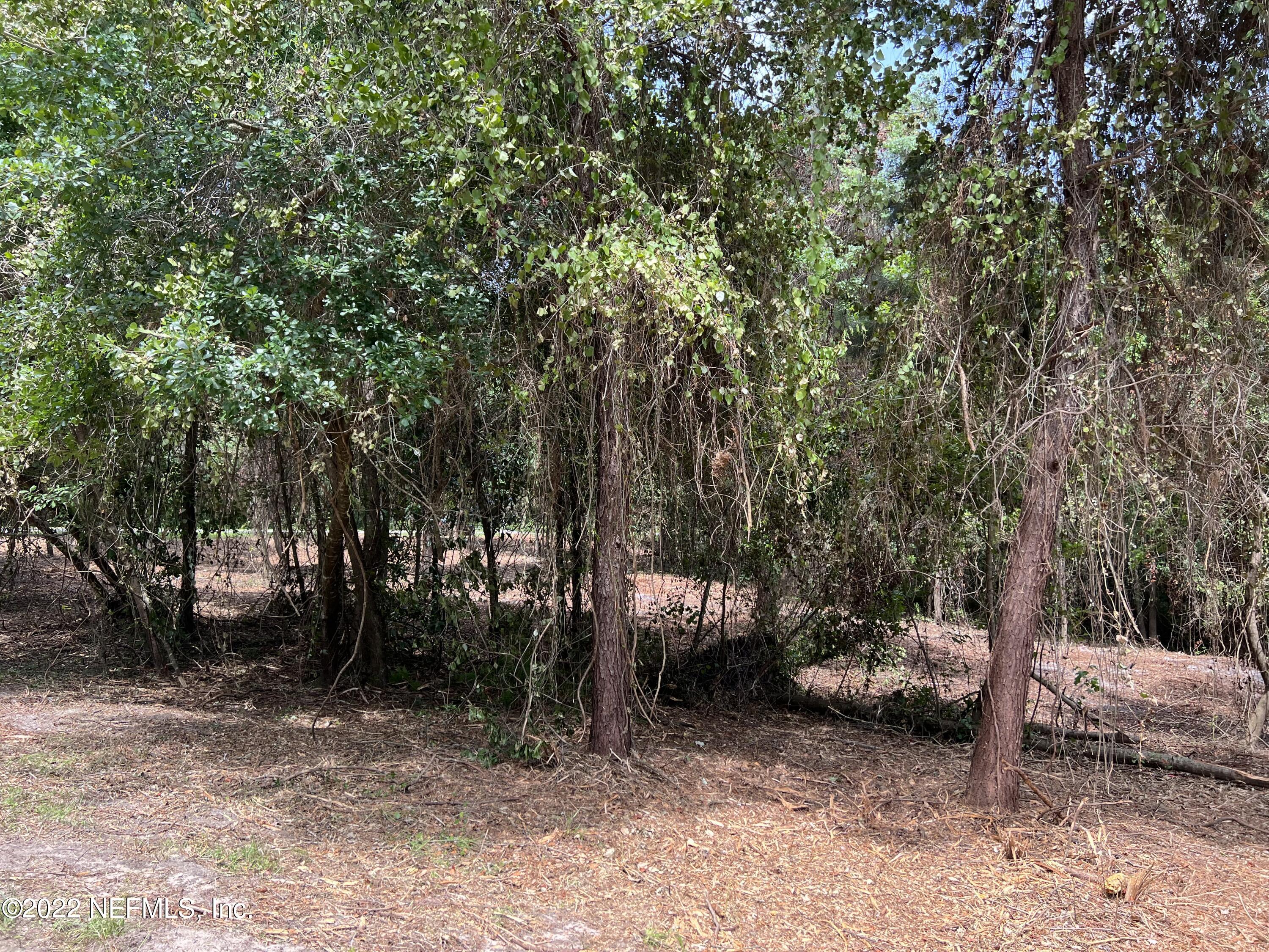 4070 Honeysuckle Circle Middleburg, FL 32068 - Photo 6 of 6 IMG_2584 3