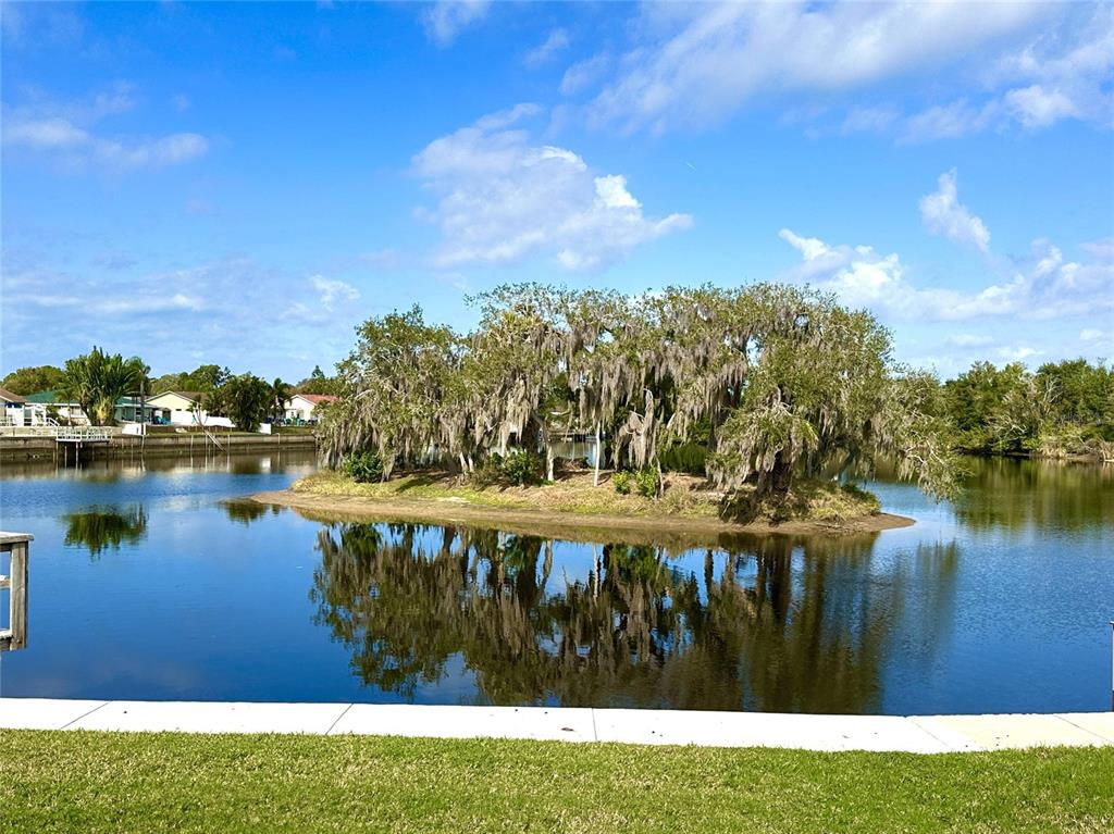 0 Berry Hill Road Holiday, FL 34690 - Photo 26 of 43