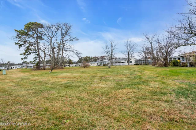 a view of a house with a big yard potted plants and large tree