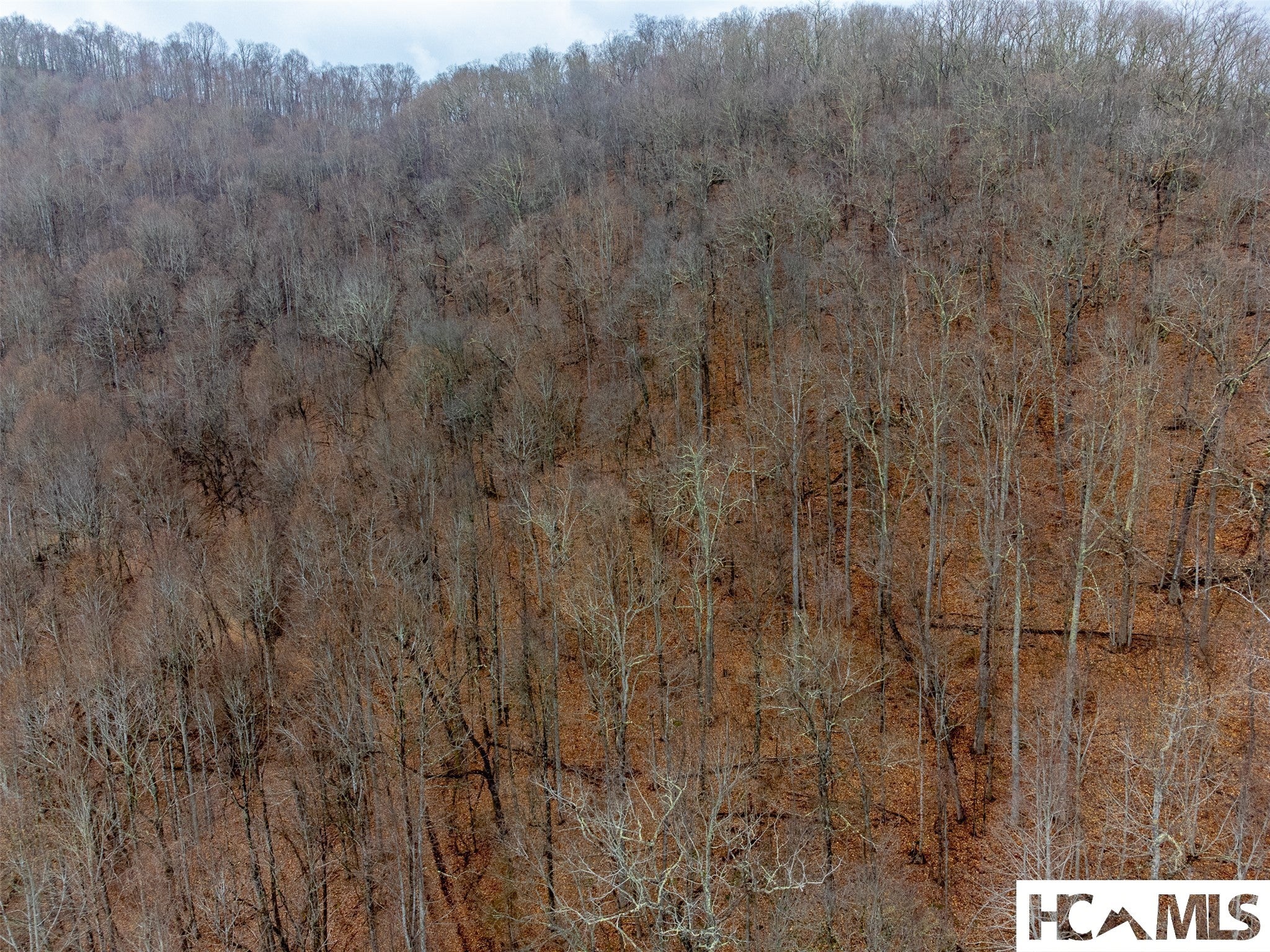 1241 Henry Road Franklin, NC 28734 - Photo 51 of 67 Gallery Image 51