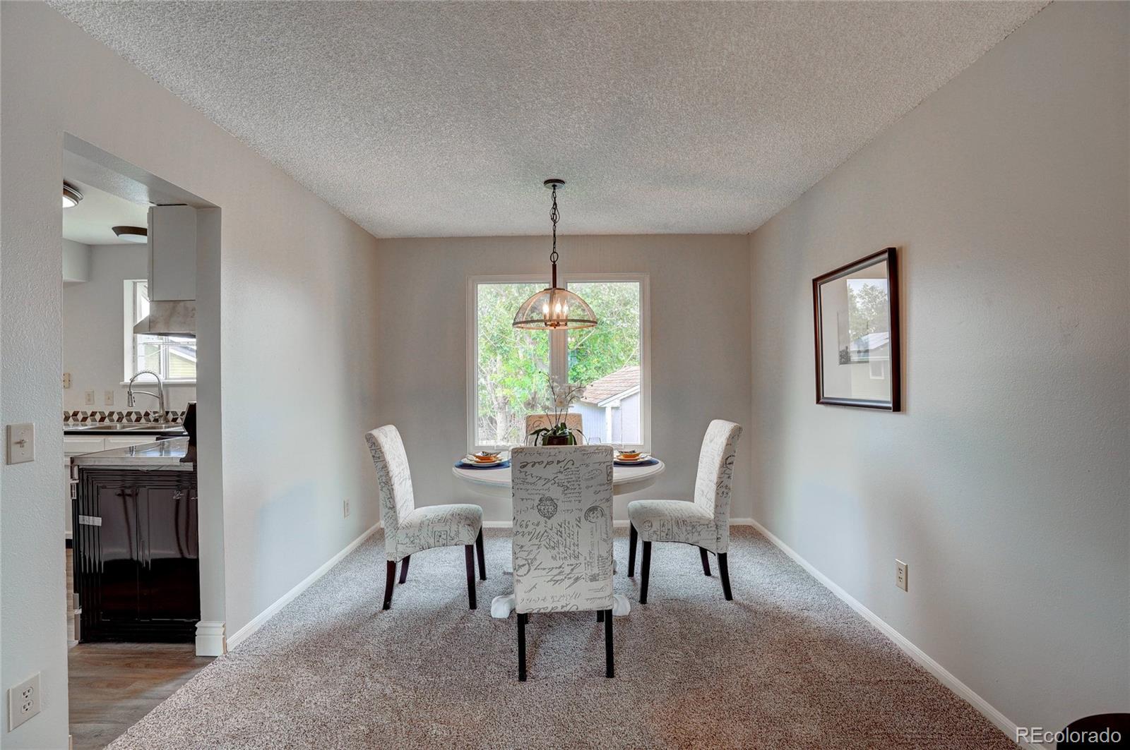 10130 Nelson Street Westminster, CO 80021 - Photo 7 of 29