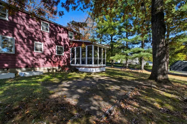 a view of a yard with plants and large trees