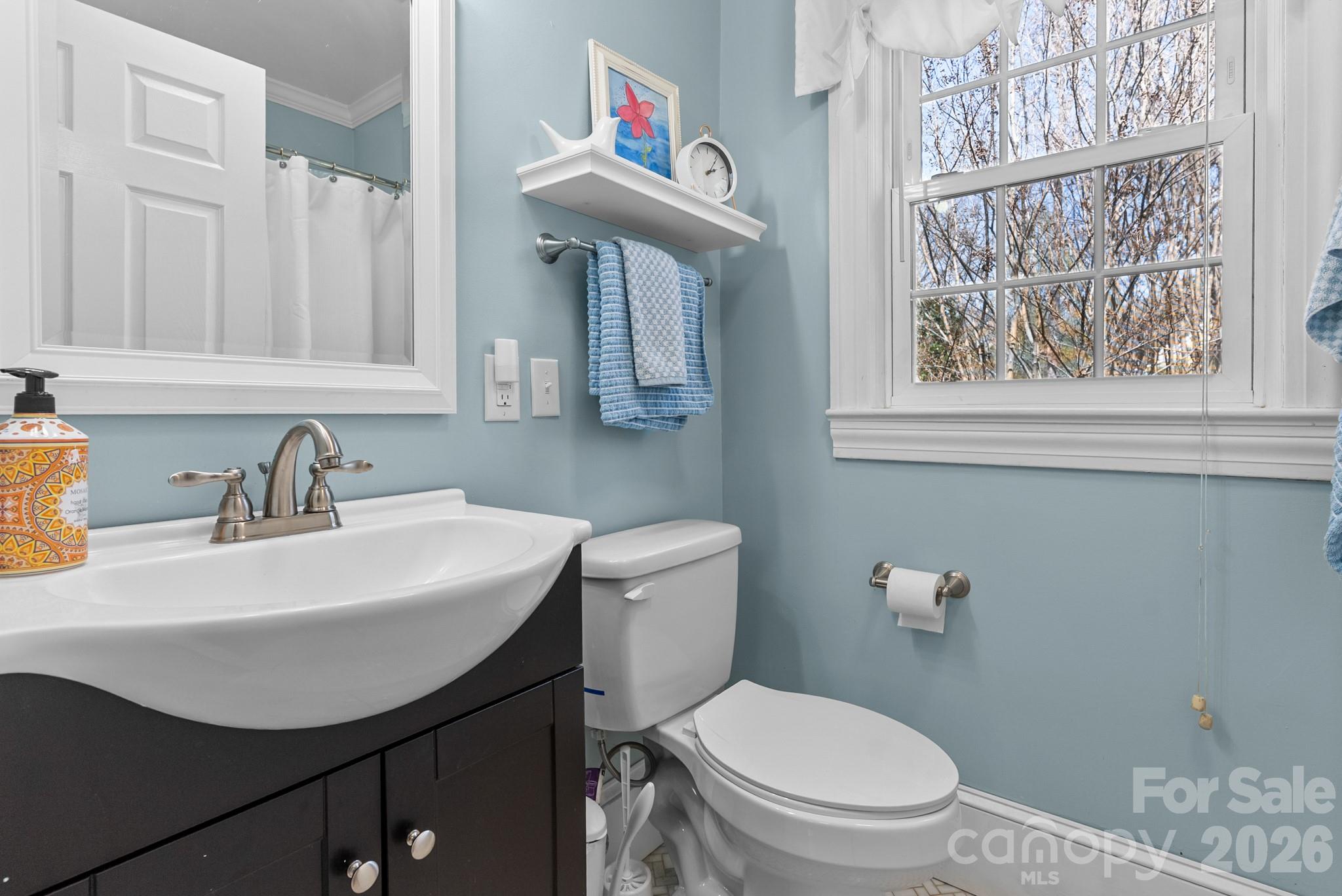 211 Dutchman Creek Road Elkin, NC 28621 - Photo 44 of 48 a bathroom with a sink a toilet and a mirror