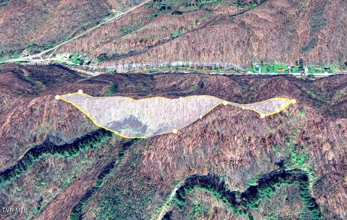 0 Big Br Road St. Charles, VA 24282 - Photo 2 of 7 GOOGLE 3D SATELLITE WITH APPROX GIS BOUN