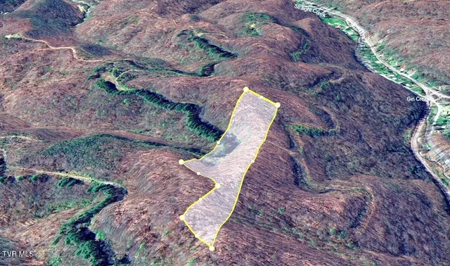 $25,000 | 0 Big Br Road, St. Charles, VA 24282