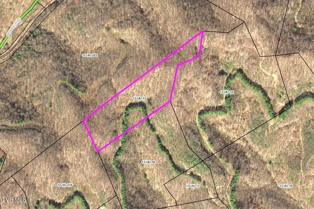 $25,000 | 0 Big Br Road, St. Charles, VA 24282