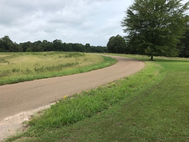 2065 Callahan Road Saulsbury, TN 38067 - Photo 12 of 12 Gallery Image 12