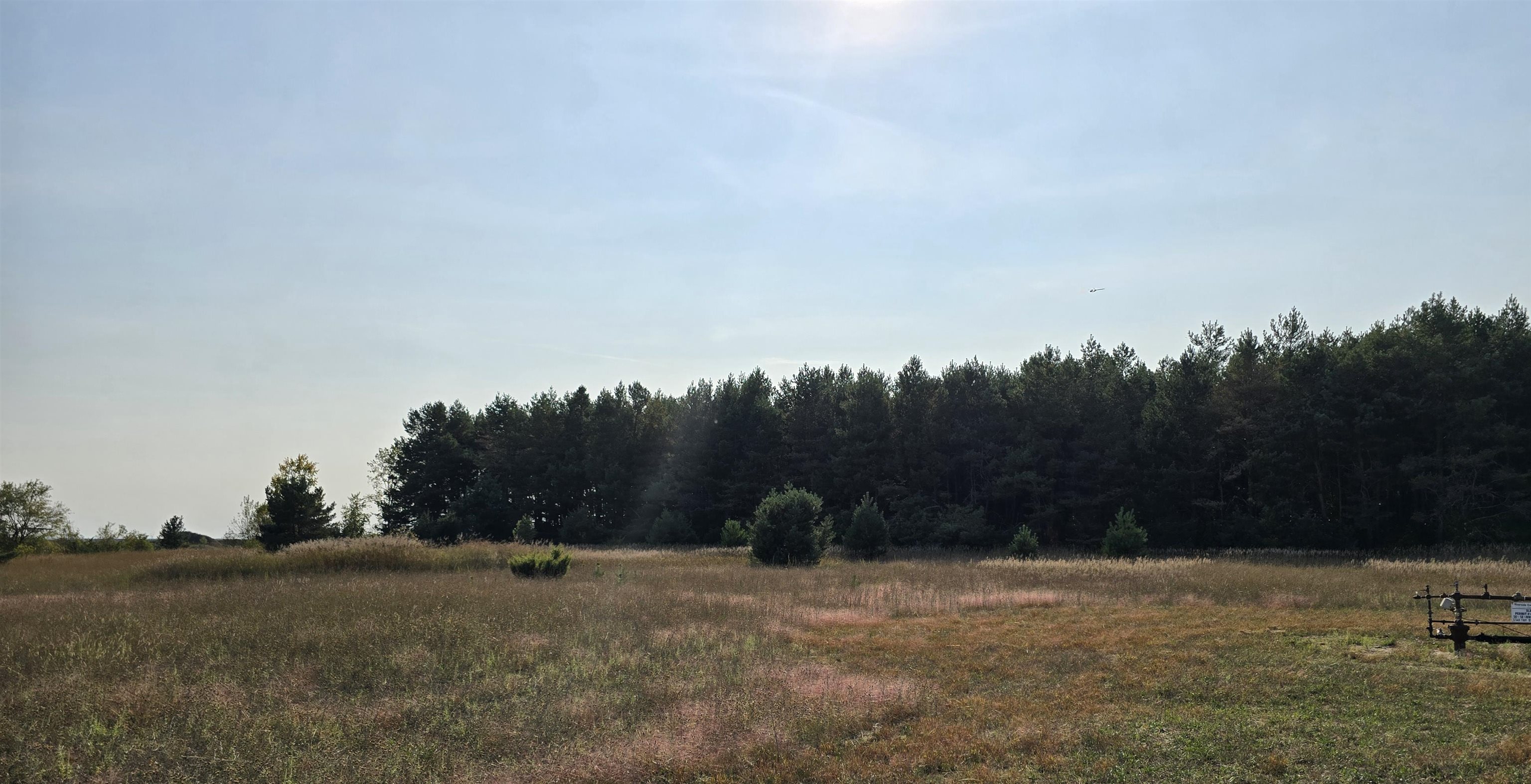 8620 Francis Road Elmira, MI 49730 - Photo 11 of 20