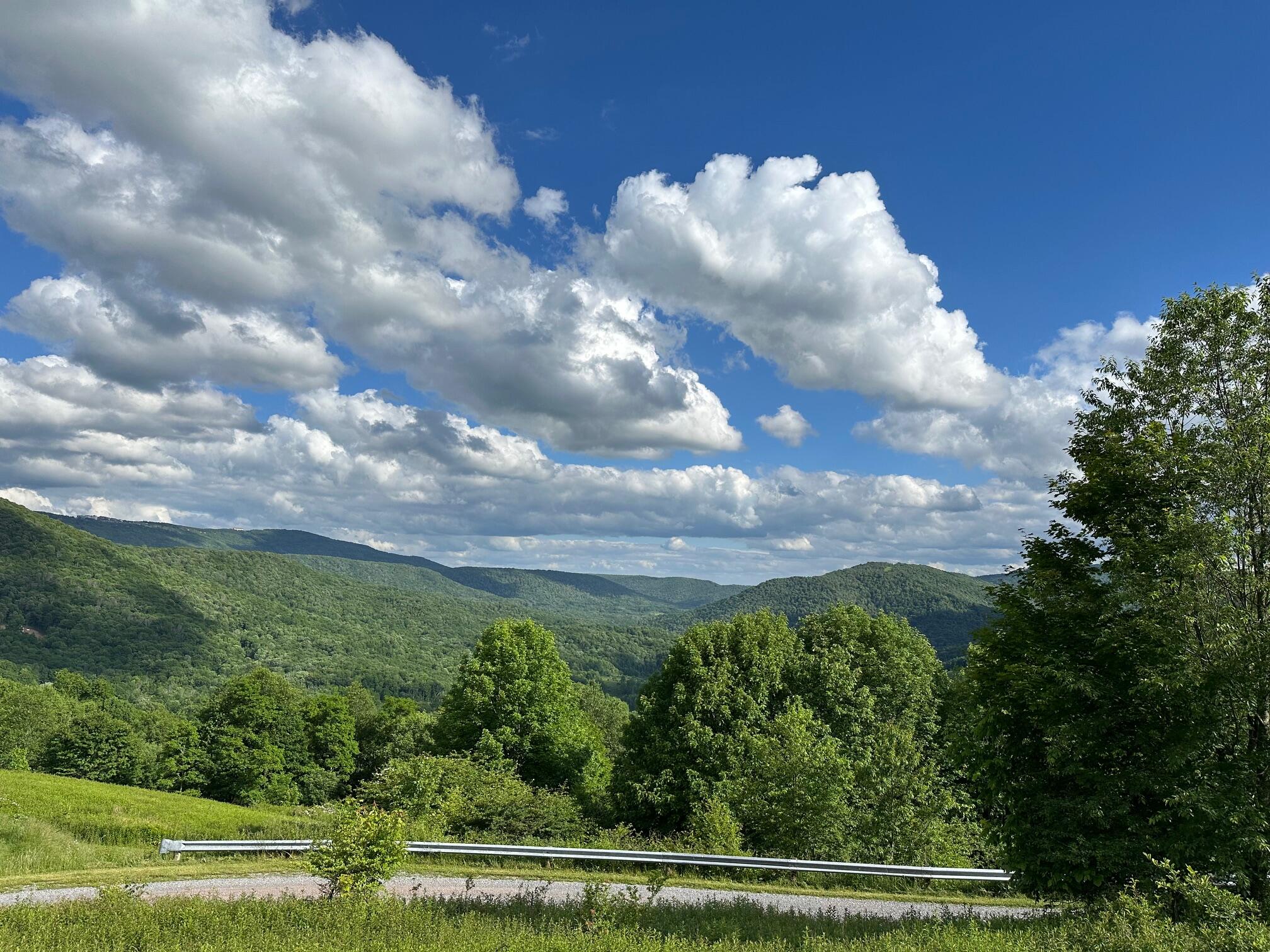 510 Headwaters Road Slatyfork, WV 26291 - Photo 6 of 12 Gallery Image 6