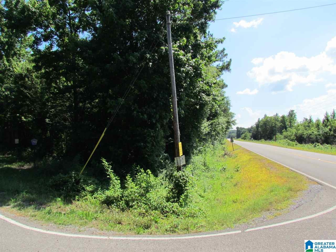 29 County Road Collinsville, AL 35961 - Photo 4 of 5