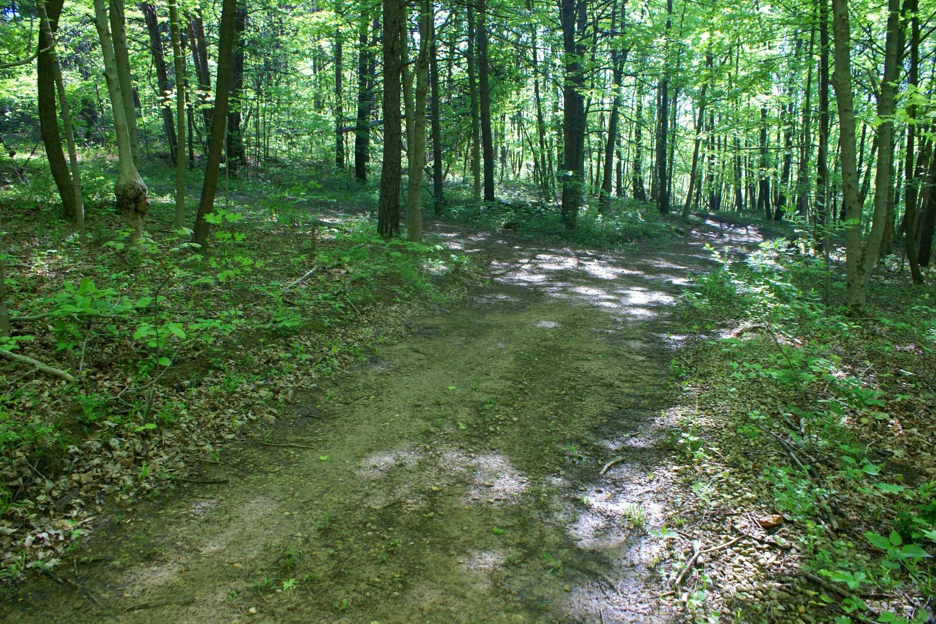 0 Lookout Road Southwest Lancaster, OH 43130 - Photo 11 of 14