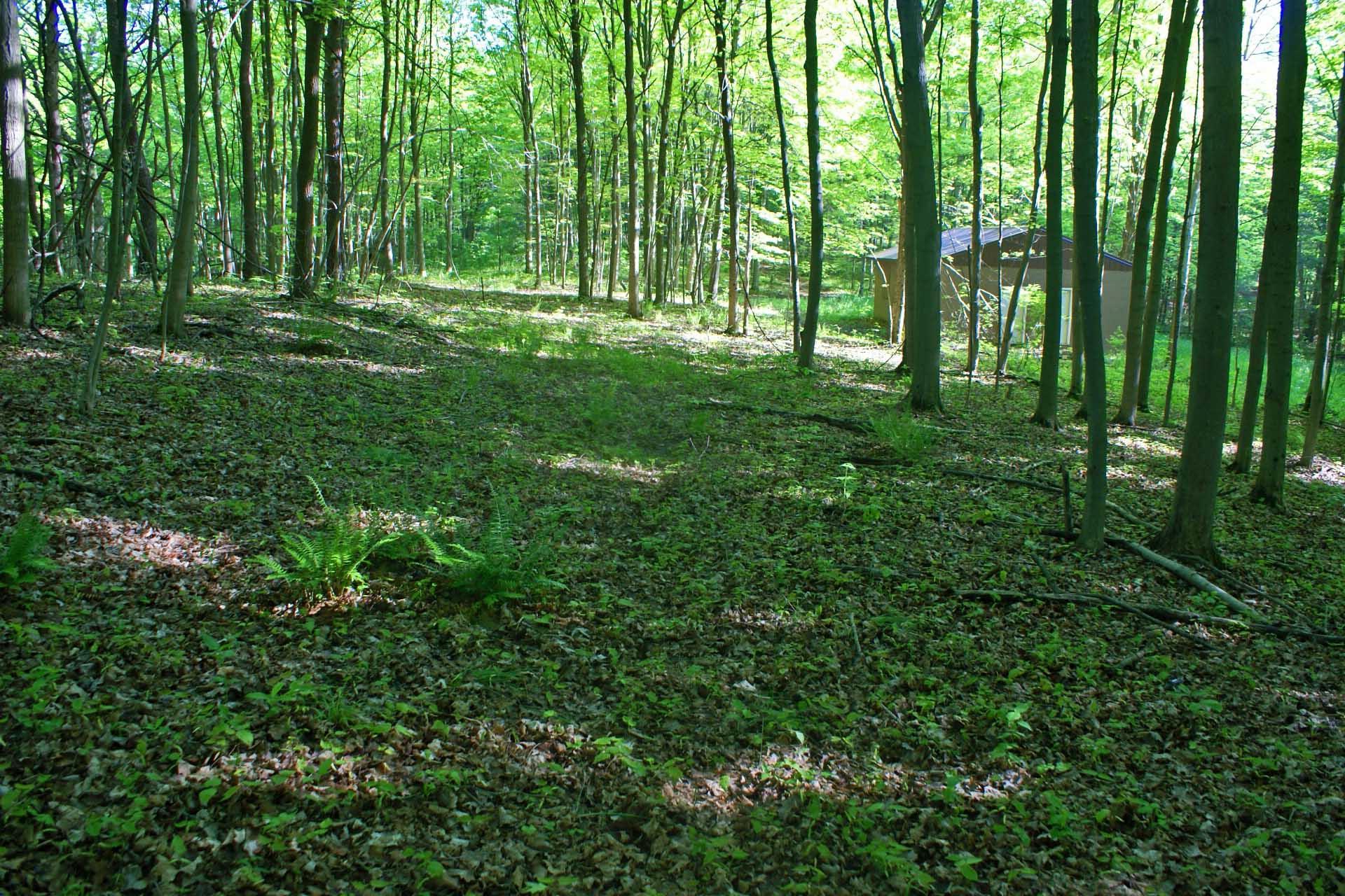 0 Lookout Road Southwest Lancaster, OH 43130 - Photo 7 of 14