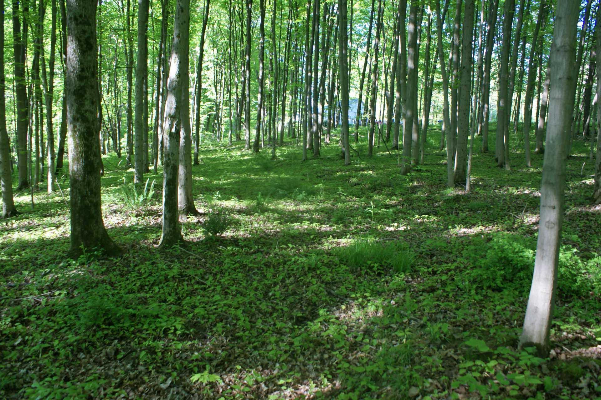 0 Lookout Road Southwest Lancaster, OH 43130 - Photo 8 of 14