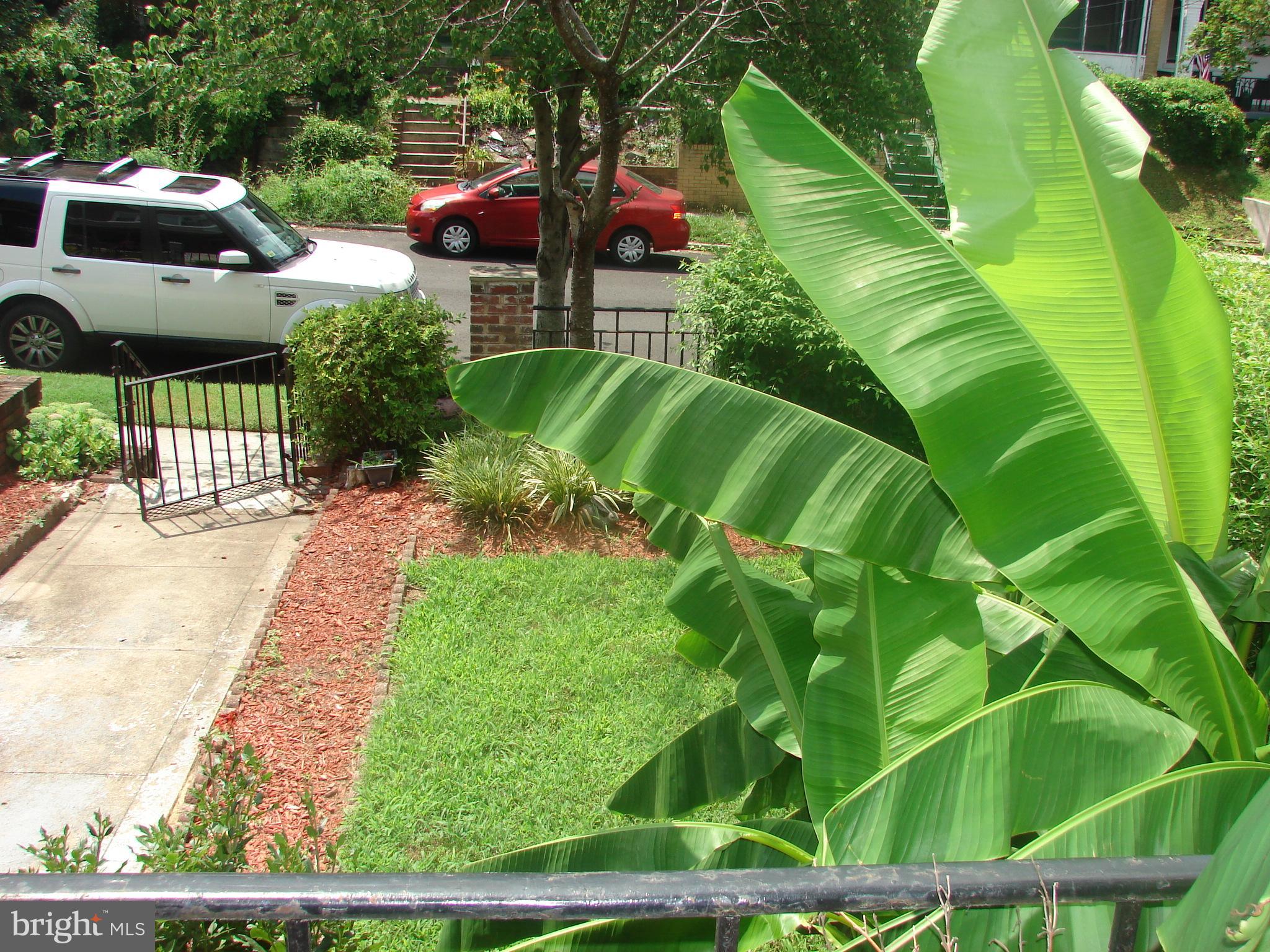 415 Farragut Street Northwest Washington, DC 20011 - Photo 9 of 27 a view of a back yard