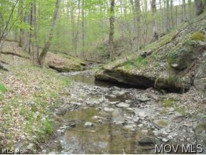 Lot# 3 California House Road Reader, WV 26167 - Photo 4 of 9 Gallery Image 4