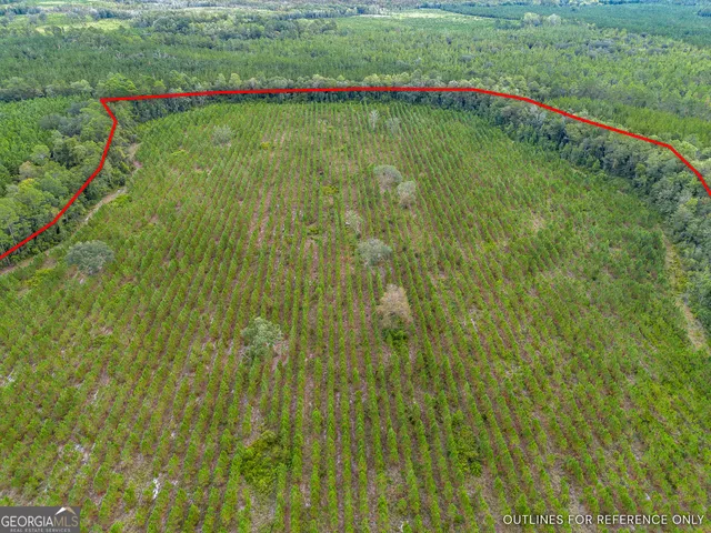$353,143 | Tract 2 River Road, Folkston, GA 31537