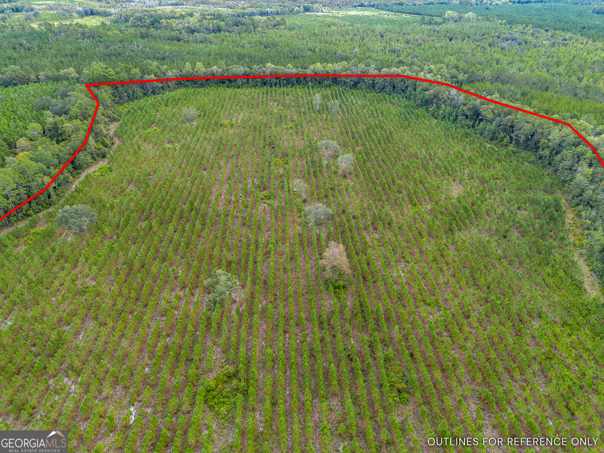 Tract 2 River Road Folkston, GA 31537 - Photo 12 of 28