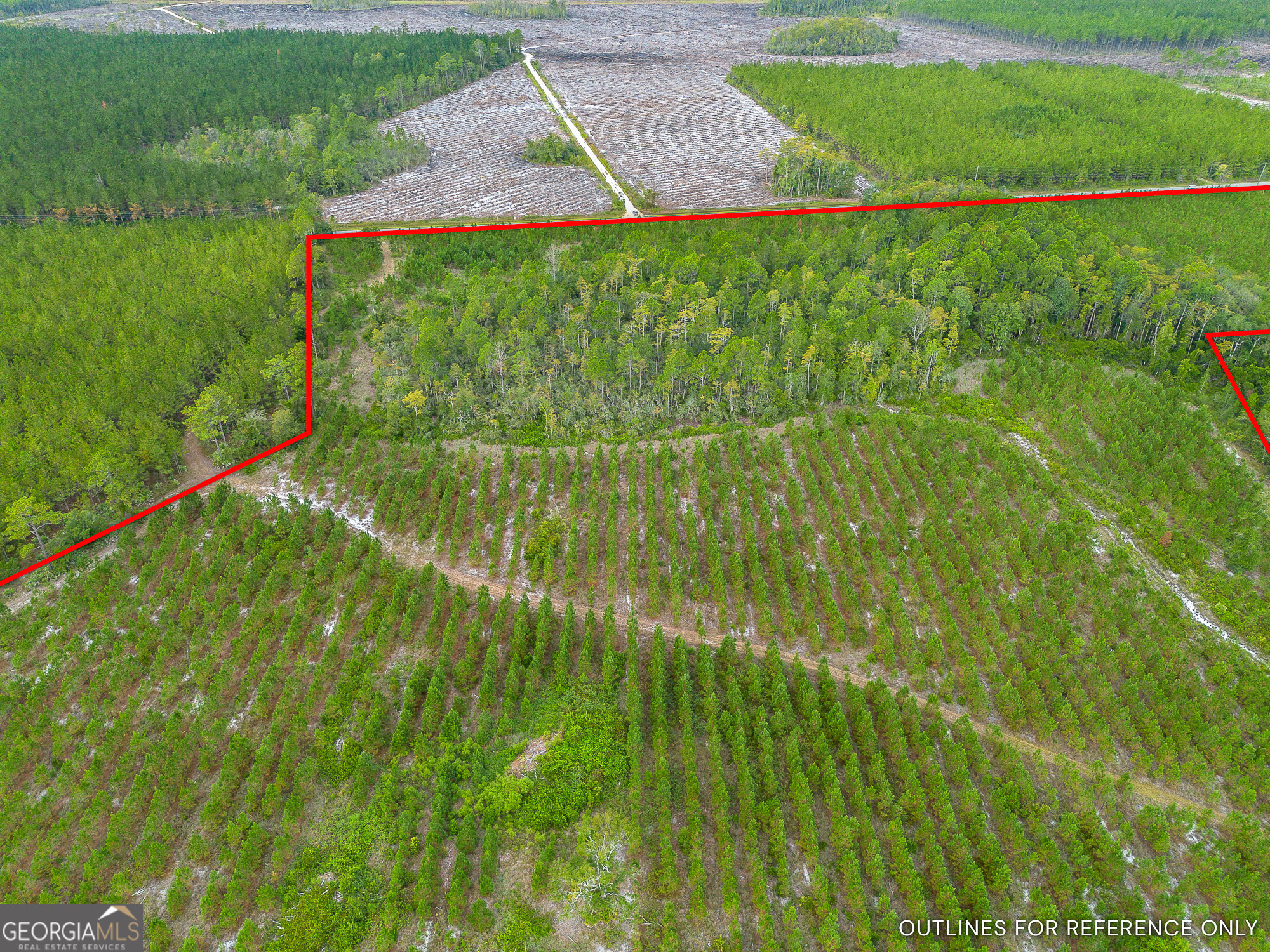 Tract 2 River Road Folkston, GA 31537 - Photo 13 of 28