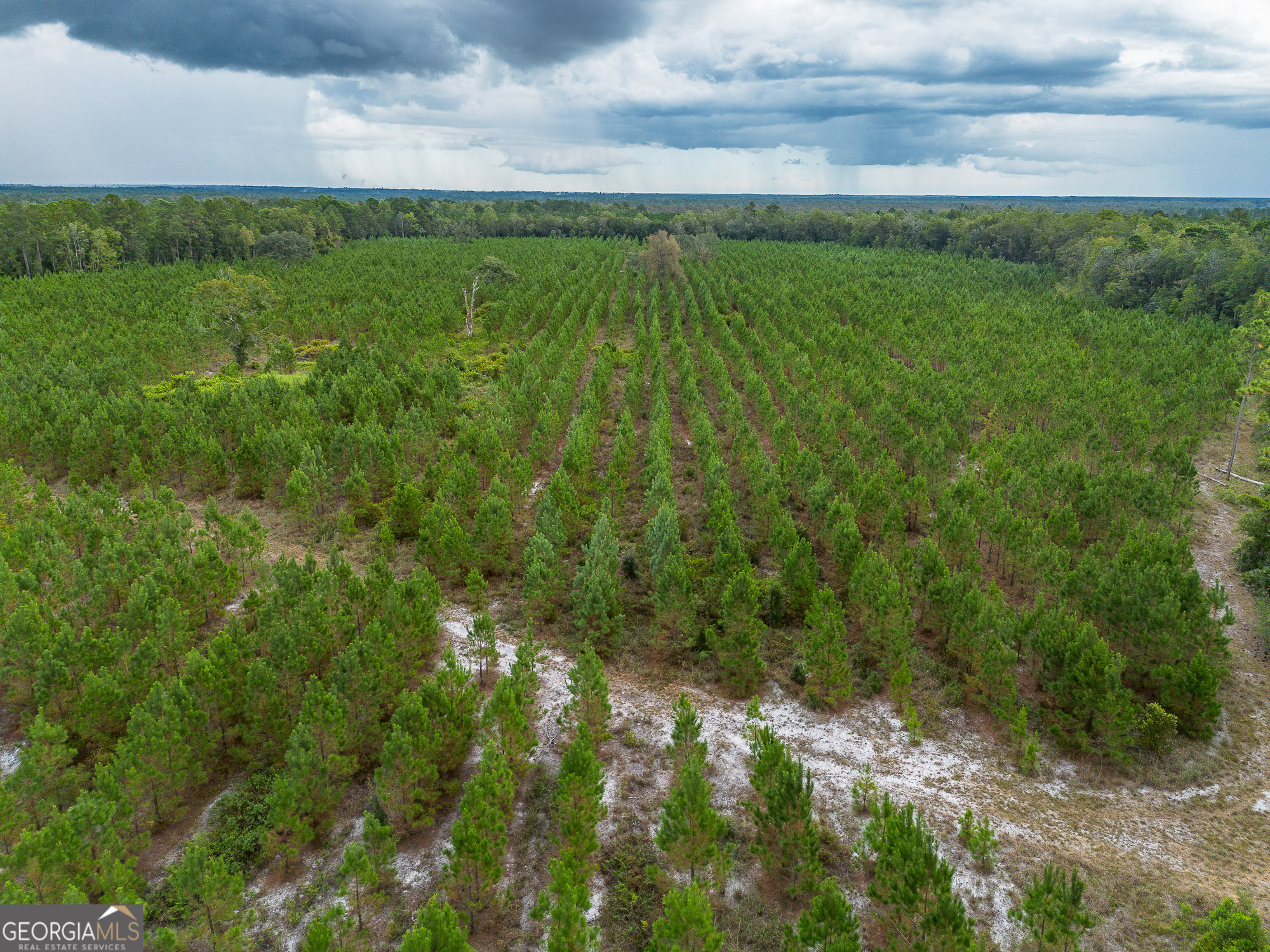 Tract 2 River Road Folkston, GA 31537 - Photo 16 of 28