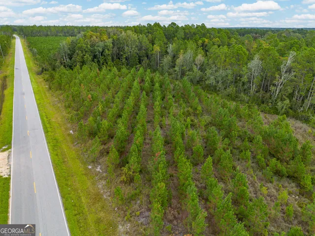 $353,143 | Tract 2 River Road, Folkston, GA 31537