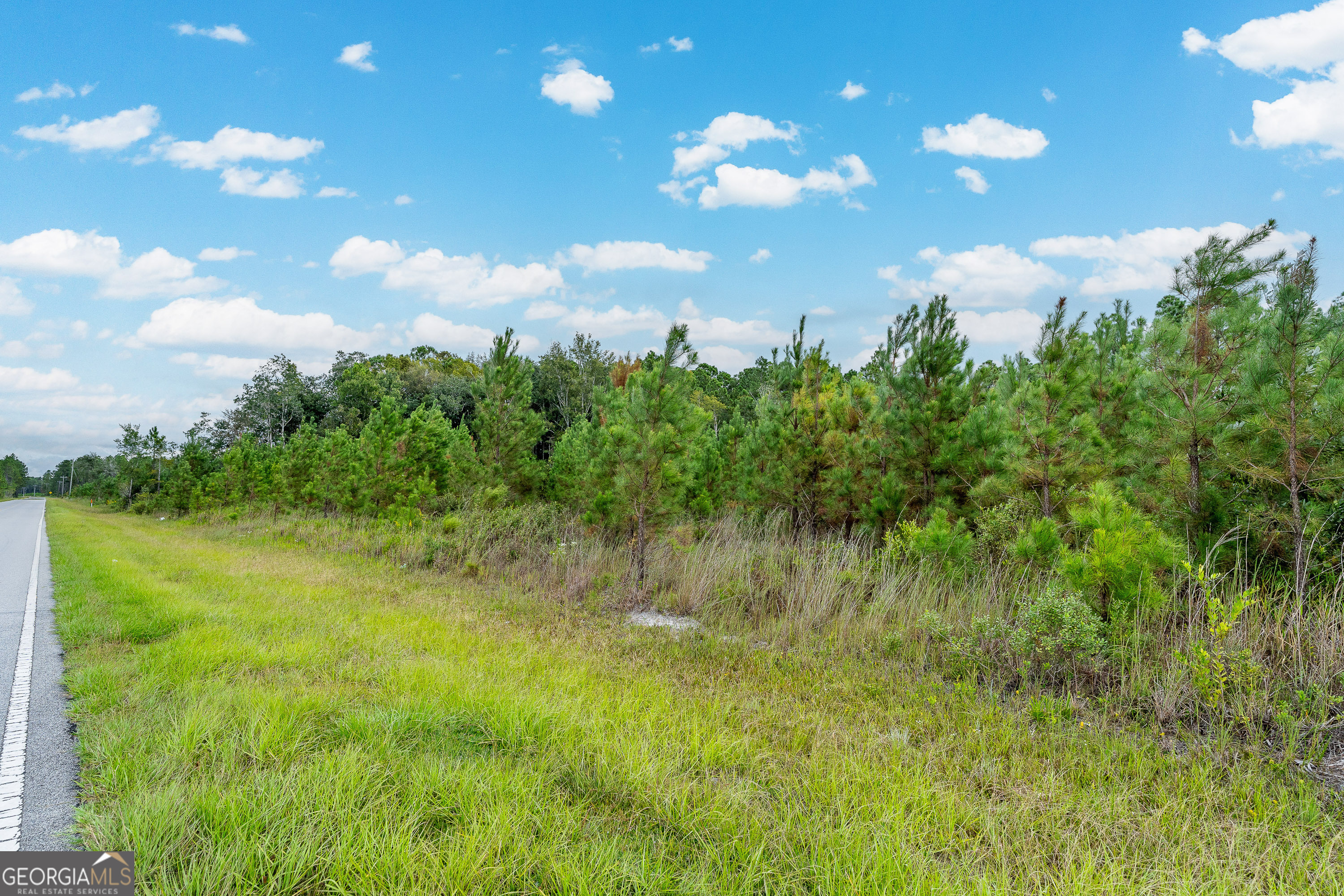 Tract 2 River Road Folkston, GA 31537 - Photo 20 of 28