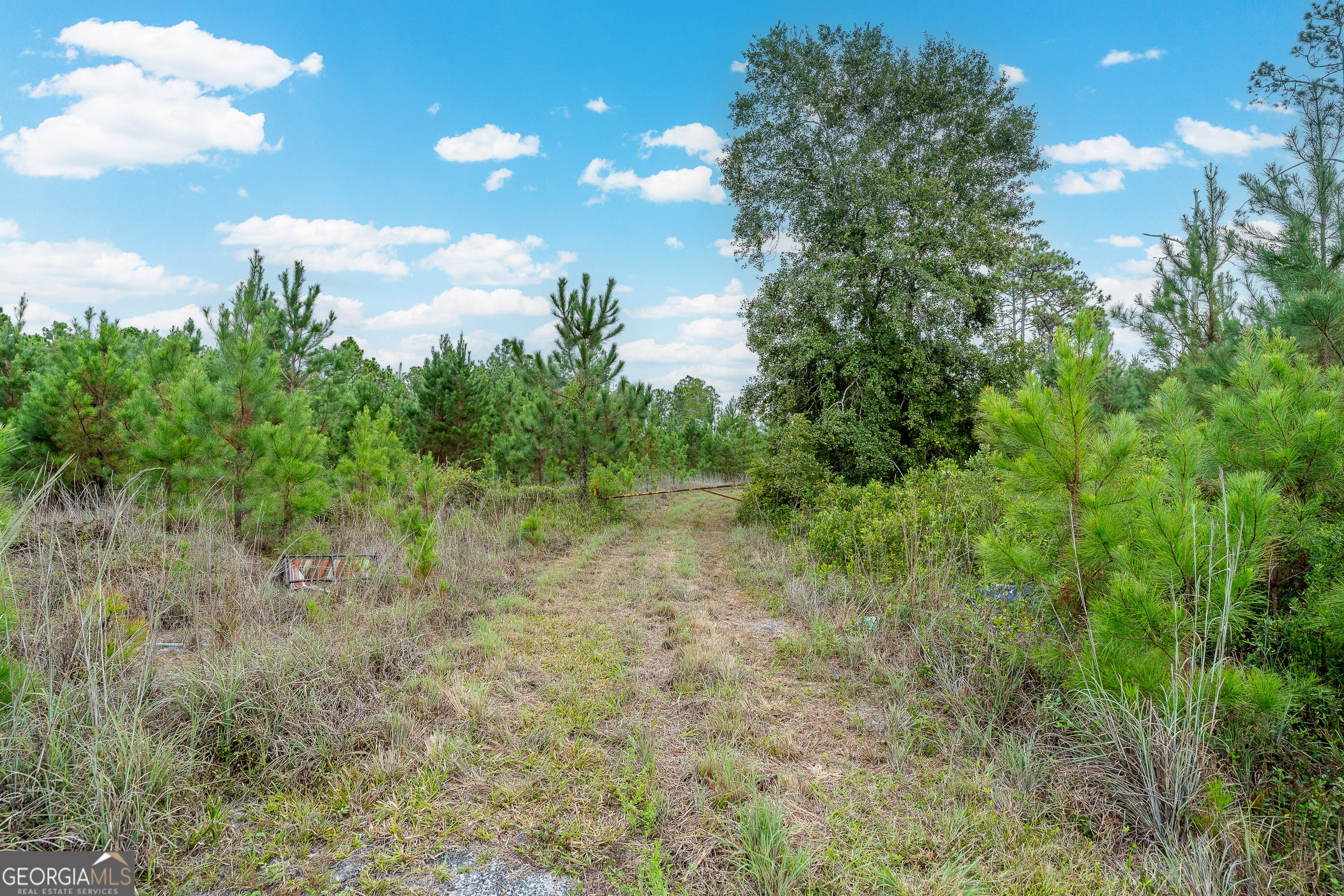 Tract 2 River Road Folkston, GA 31537 - Photo 21 of 28