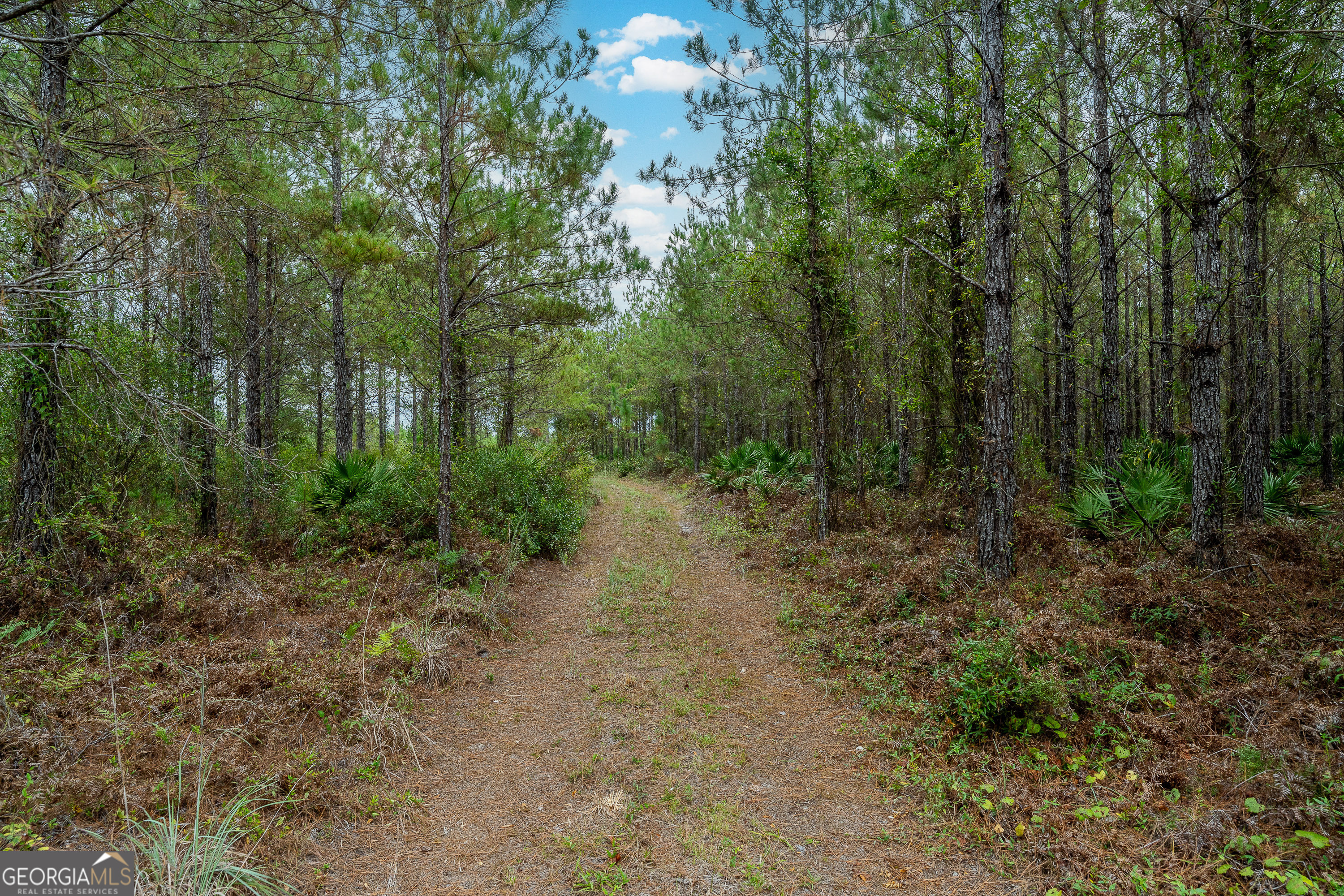 Tract 2 River Road Folkston, GA 31537 - Photo 23 of 28