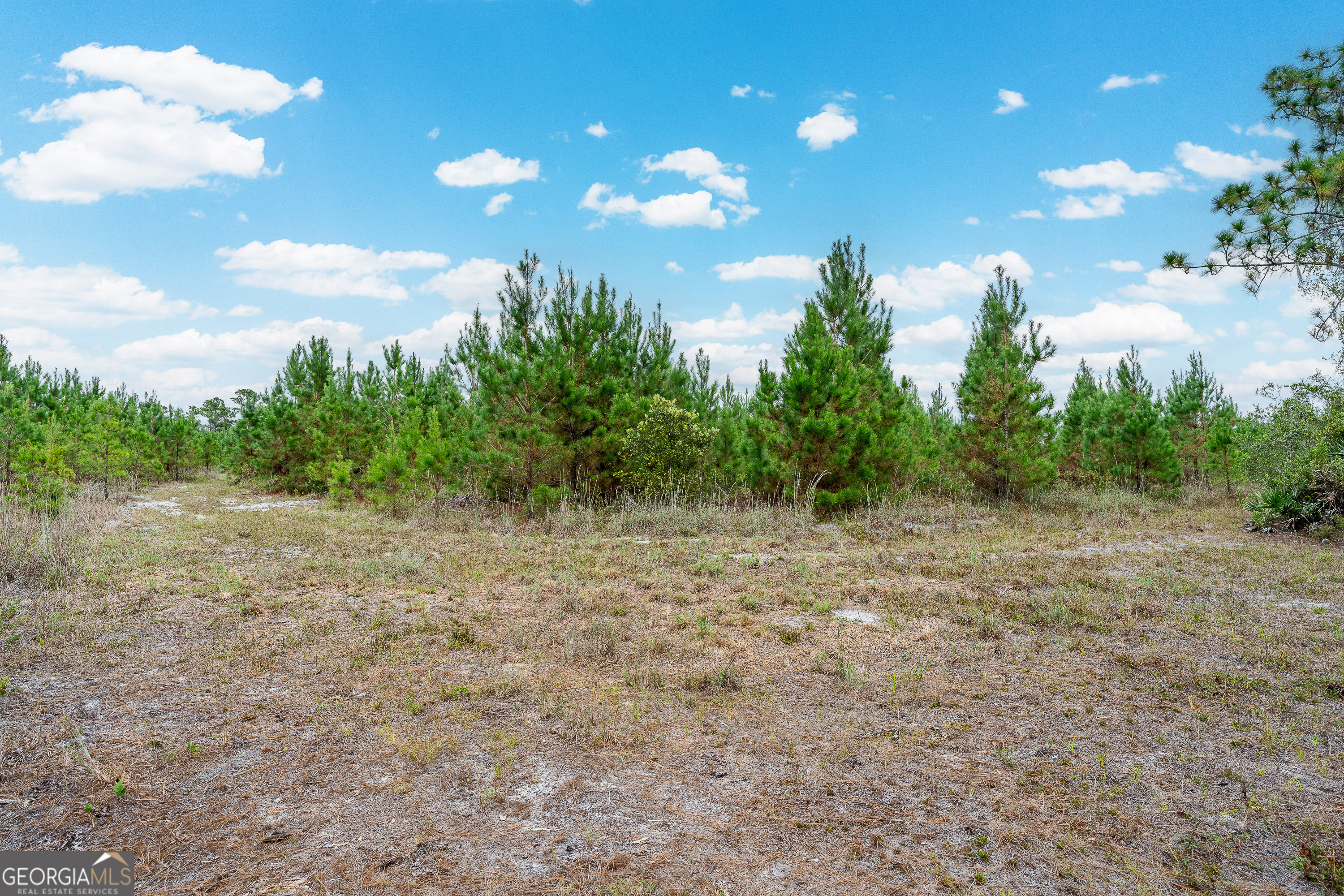 Tract 2 River Road Folkston, GA 31537 - Photo 24 of 28