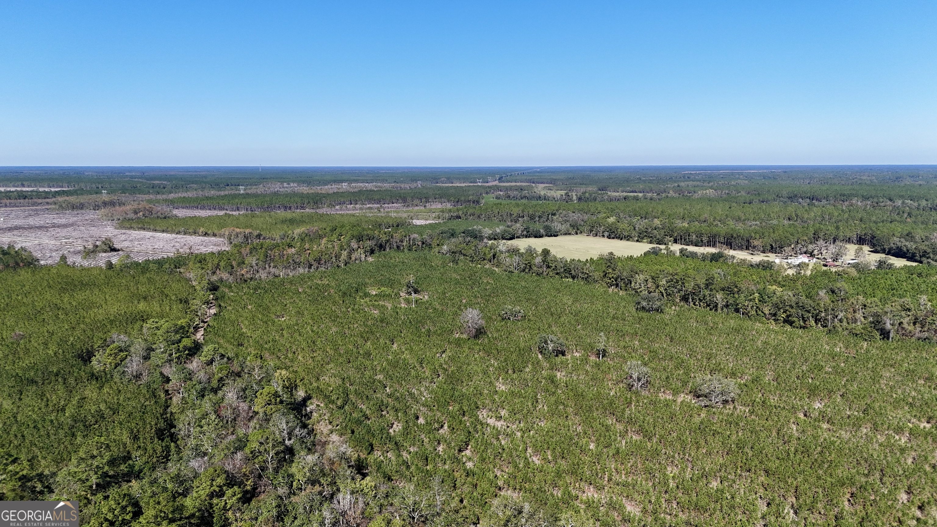 Tract 2 River Road Folkston, GA 31537 - Photo 3 of 28