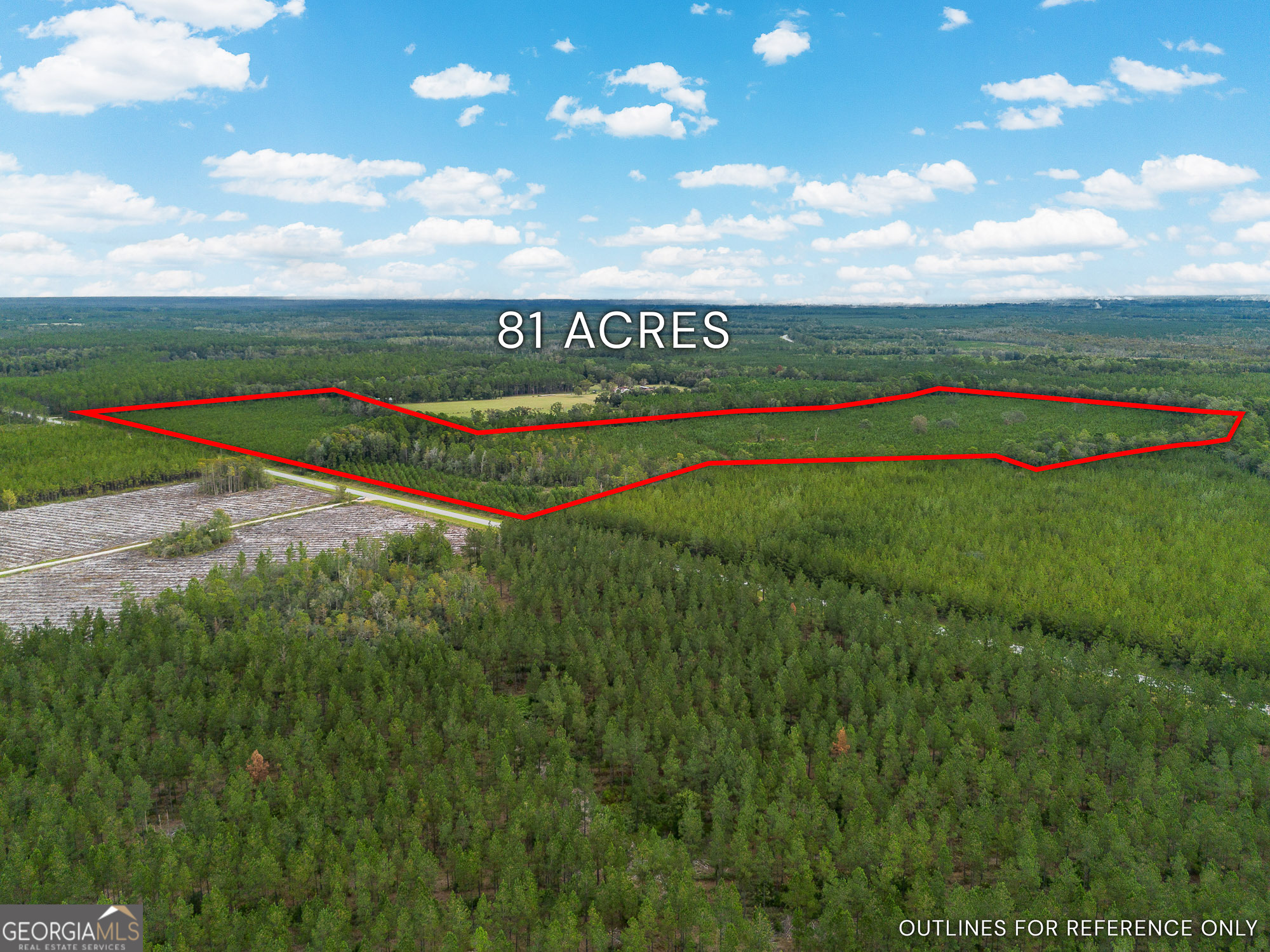 Tract 2 River Road Folkston, GA 31537 - Photo 4 of 28