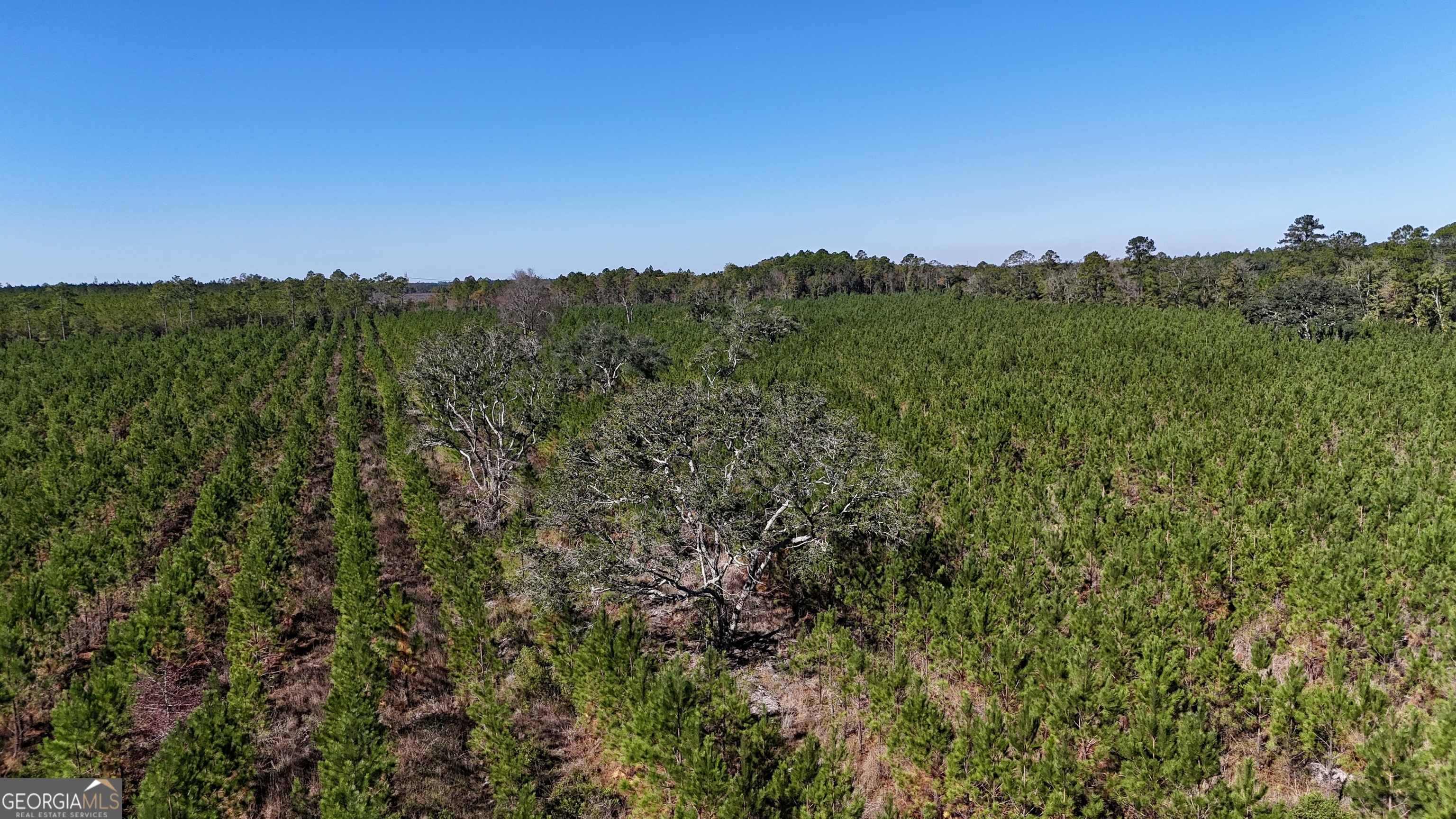 Tract 2 River Road Folkston, GA 31537 - Photo 5 of 28