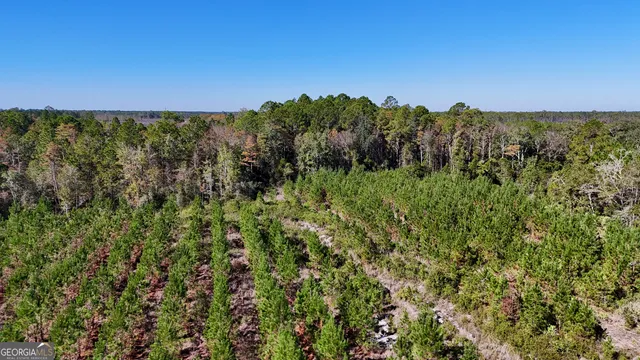 $353,143 | Tract 2 River Road, Folkston, GA 31537