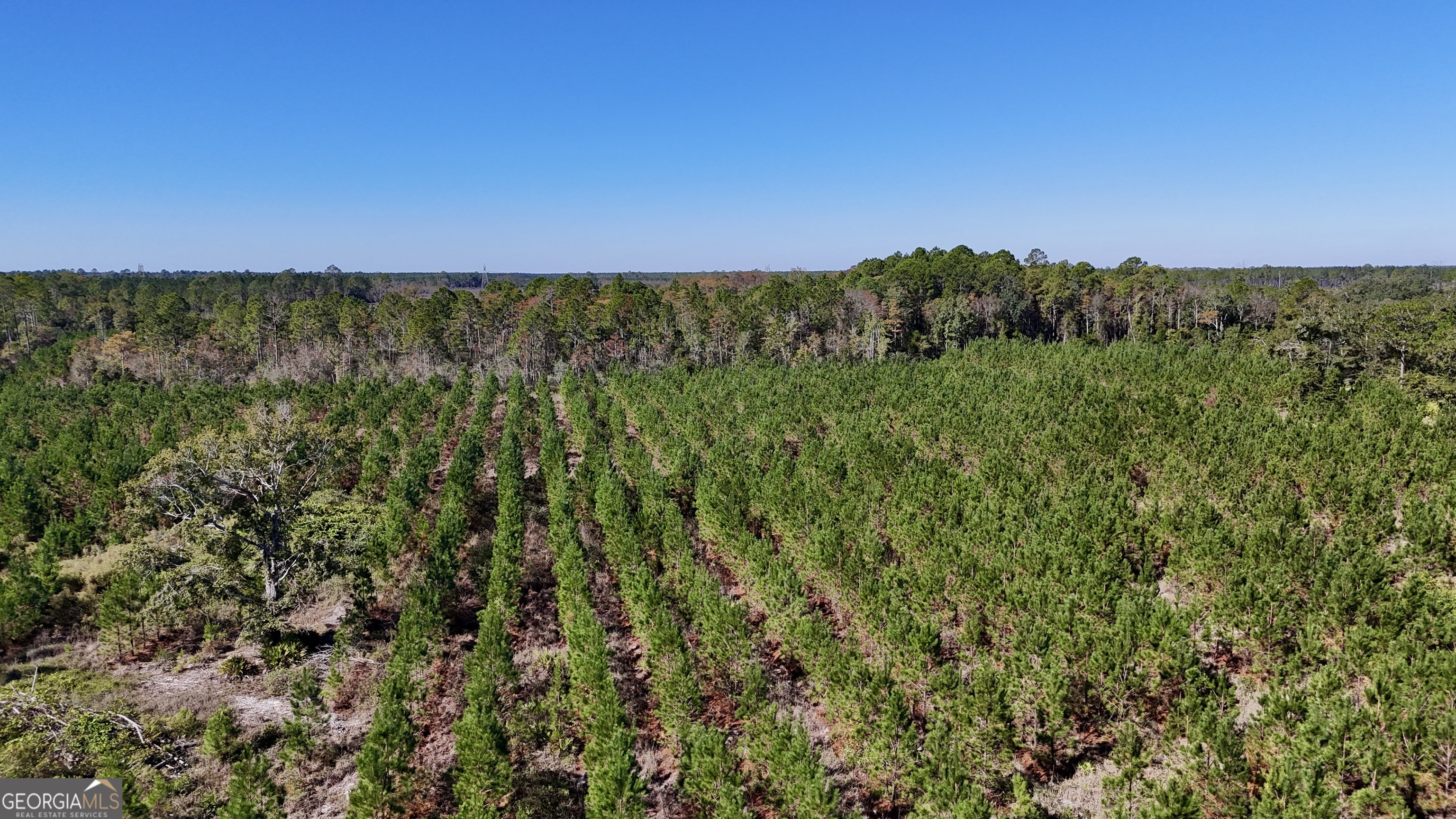 Tract 2 River Road Folkston, GA 31537 - Photo 7 of 28