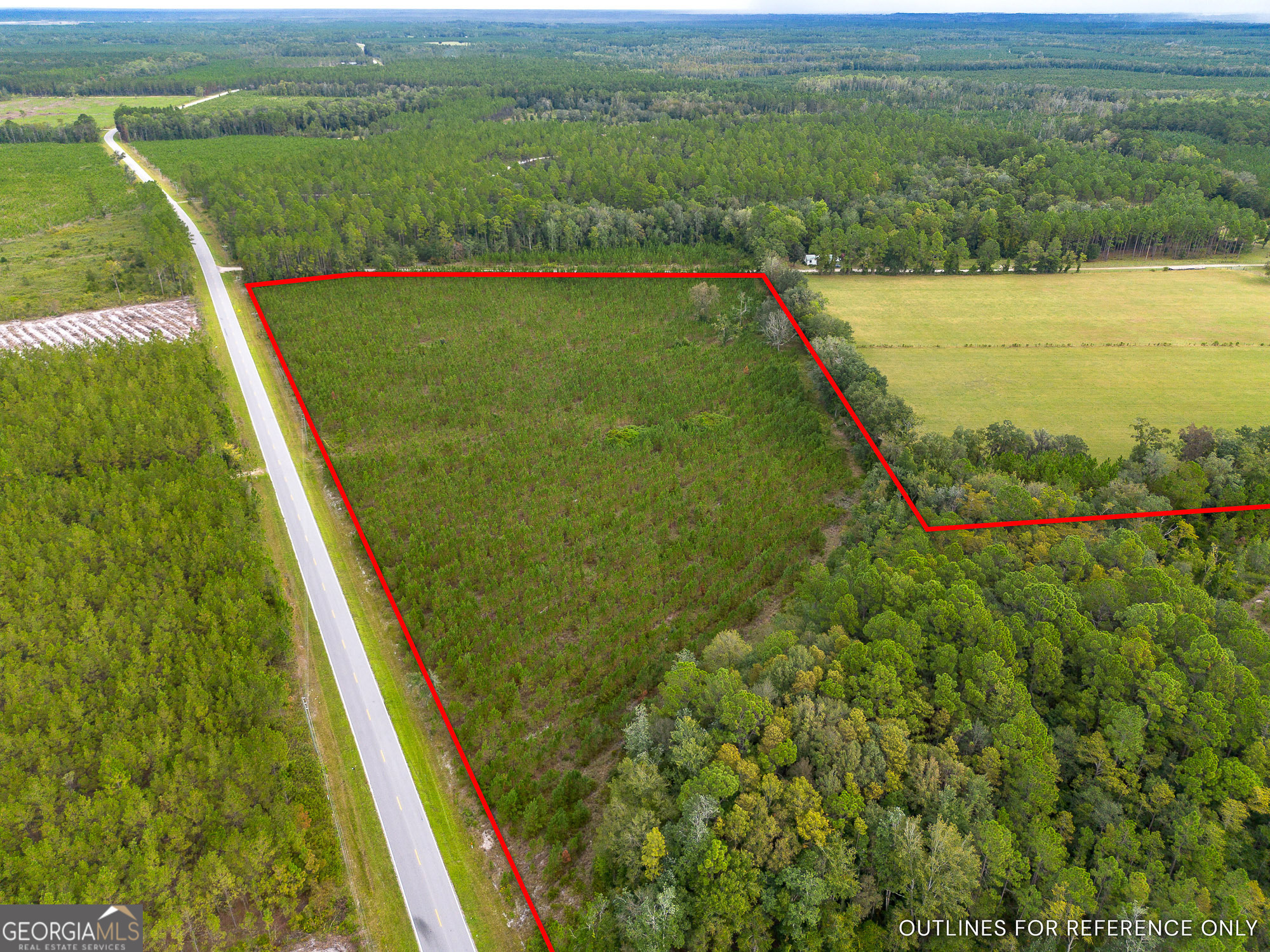 Tract 2 River Road Folkston, GA 31537 - Photo 9 of 28