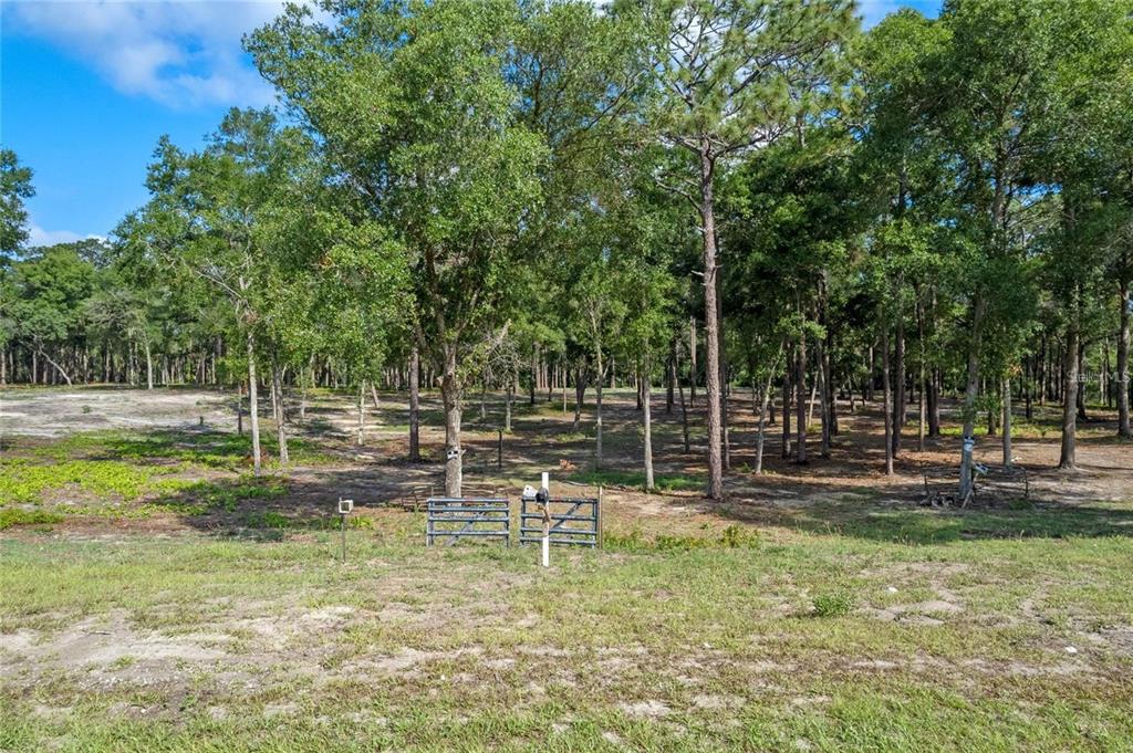 29901 State Road 44 Eustis, FL 32736 - Photo 16 of 24 a backyard of a house with lots of green space