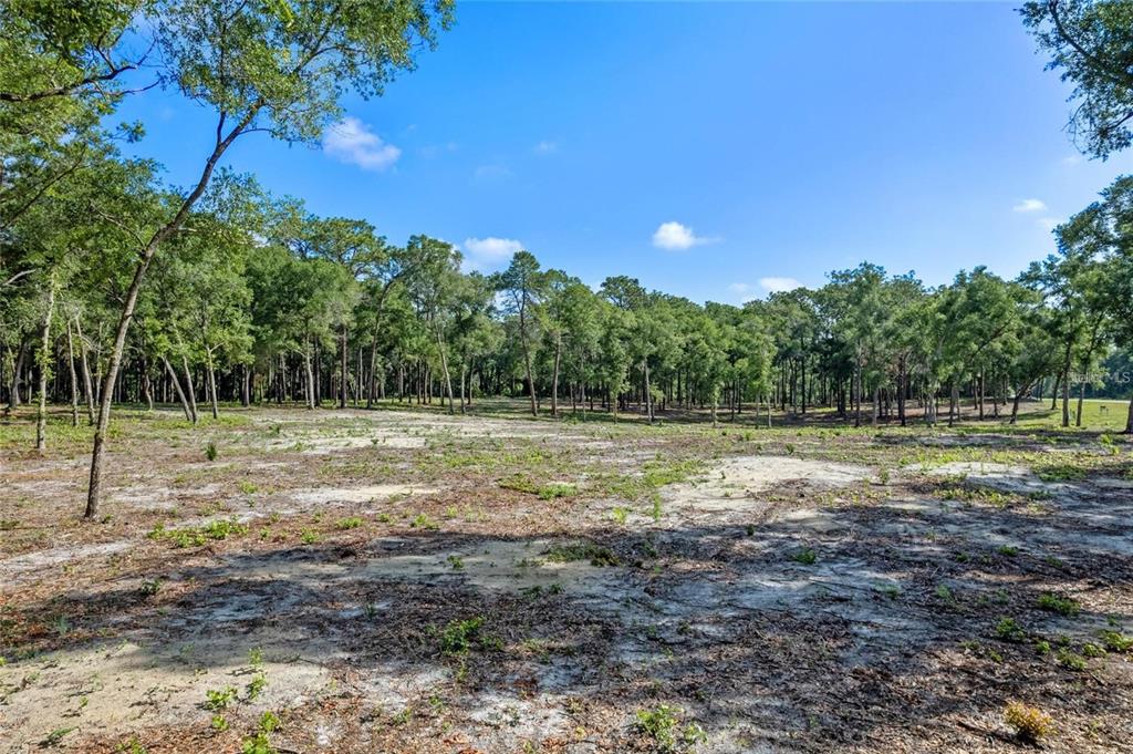 29901 State Road 44 Eustis, FL 32736 - Photo 17 of 24 a view of a green field with wooden fence