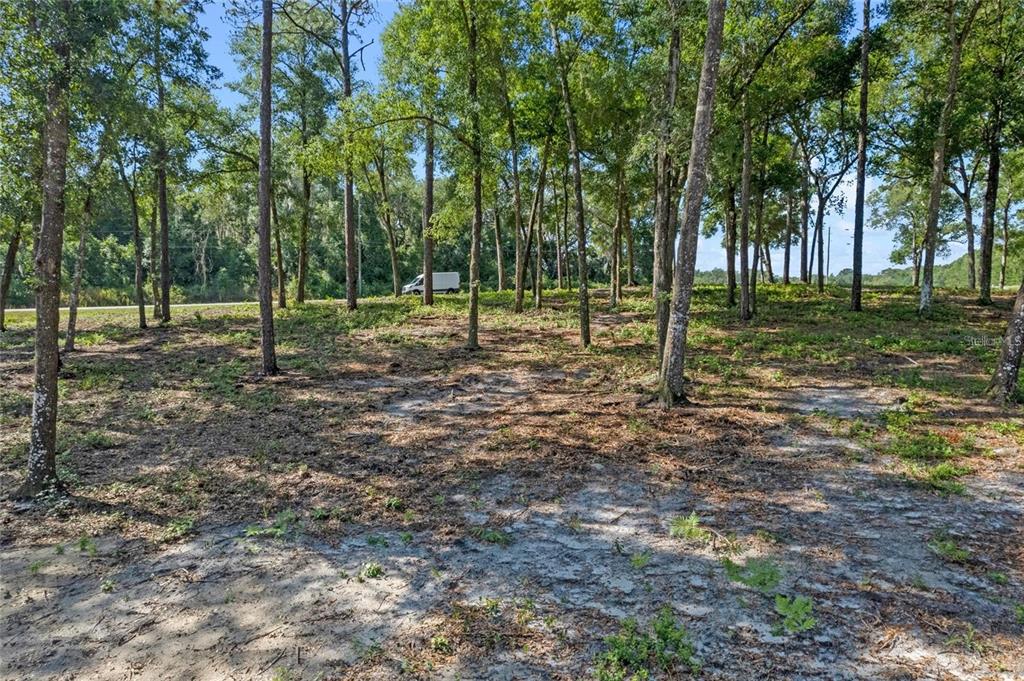 29901 State Road 44 Eustis, FL 32736 - Photo 18 of 24 a view of a park with trees in the background