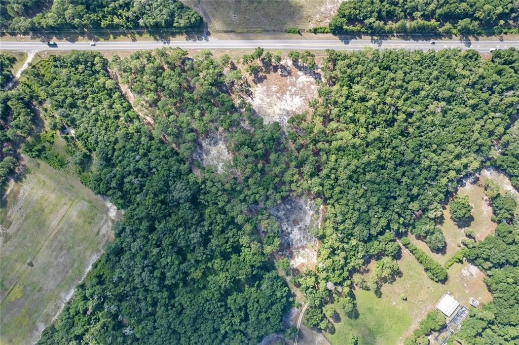 29901 State Road 44 Eustis, FL 32736 - Photo 19 of 24 a view of a yard with plants and large trees
