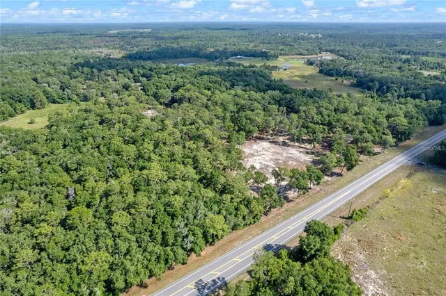 a view of a yard with a wooden bridge