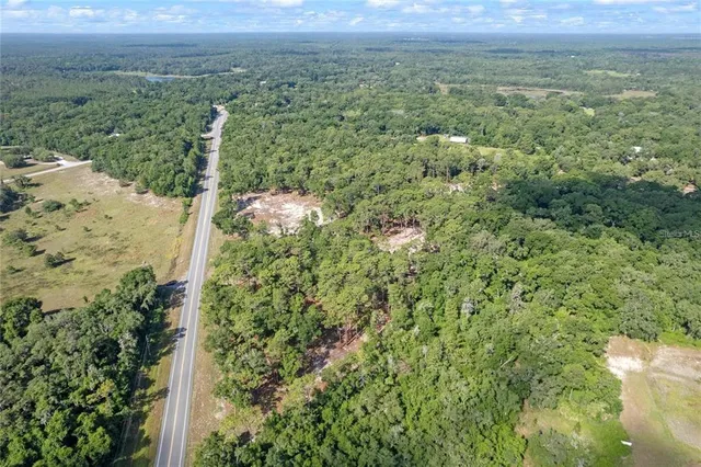 a view of a green field with lots of bushes