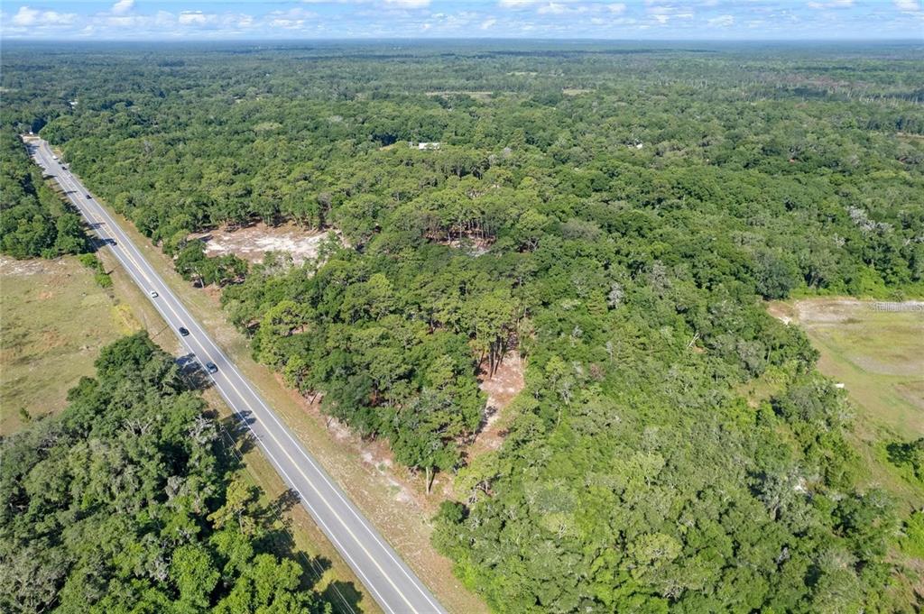 29901 State Road 44 Eustis, FL 32736 - Photo 24 of 24 a view of a green field with lots of bushes