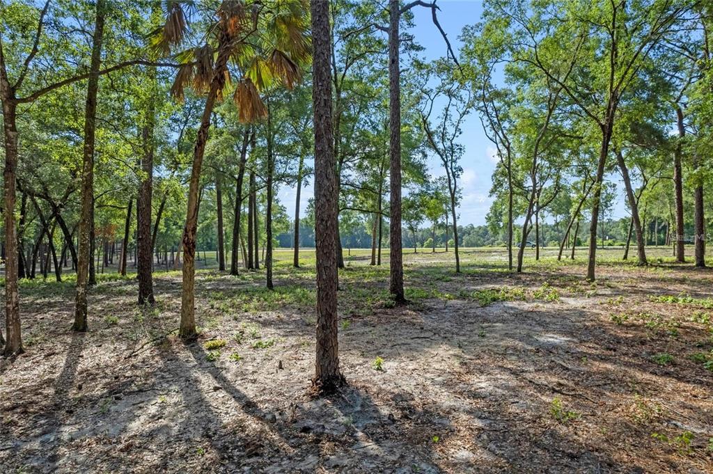 29901 State Road 44 Eustis, FL 32736 - Photo 3 of 24 a view of a park