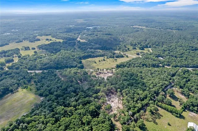 an aerial view of houses covered in trees