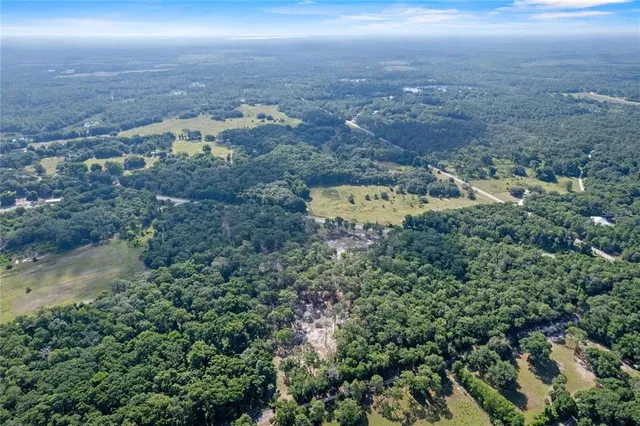 an aerial view of residential houses with outdoor space and trees