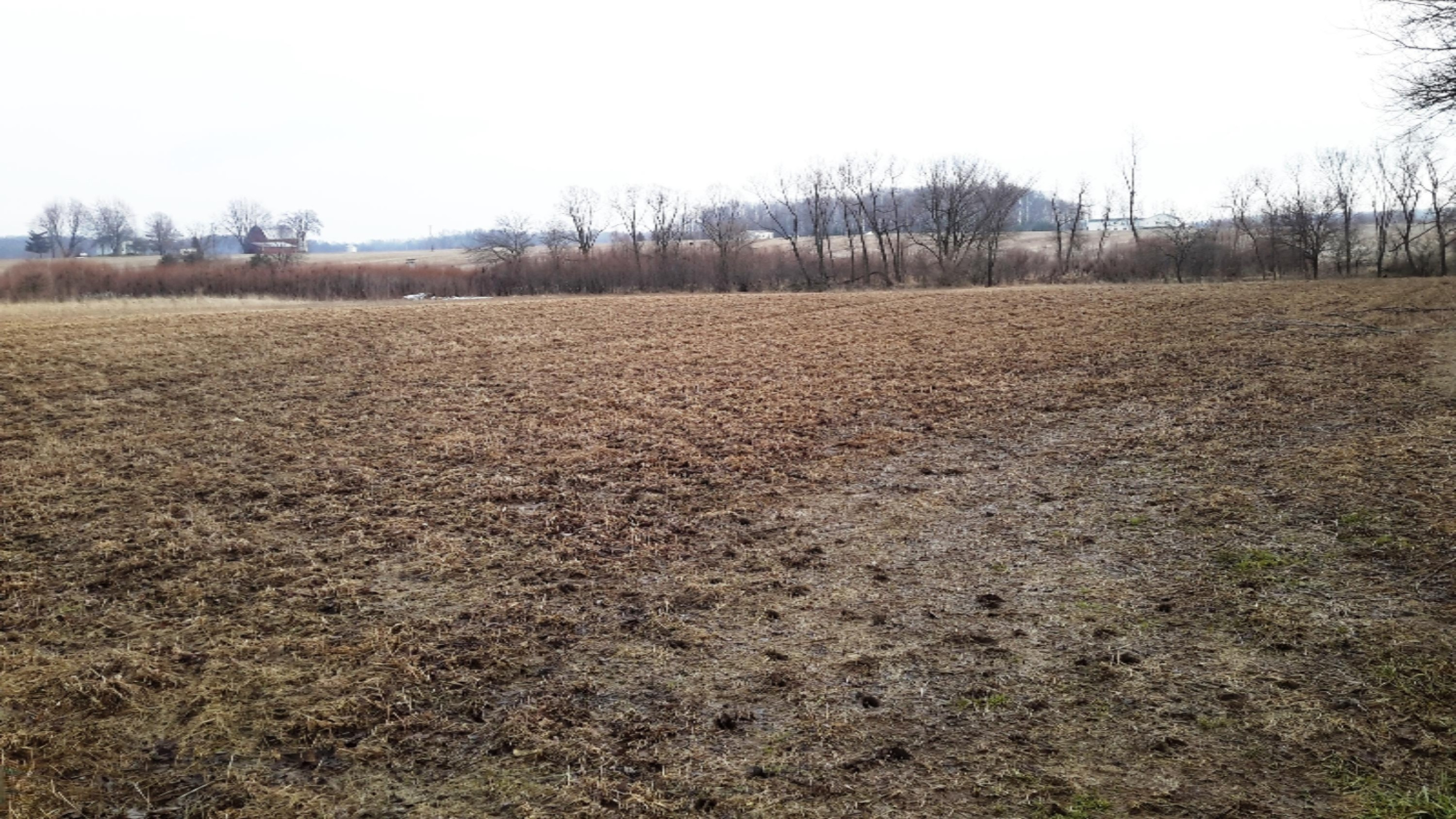 0 Bell Road Freeport, MI 49325 - Photo 5 of 6 Pic 3