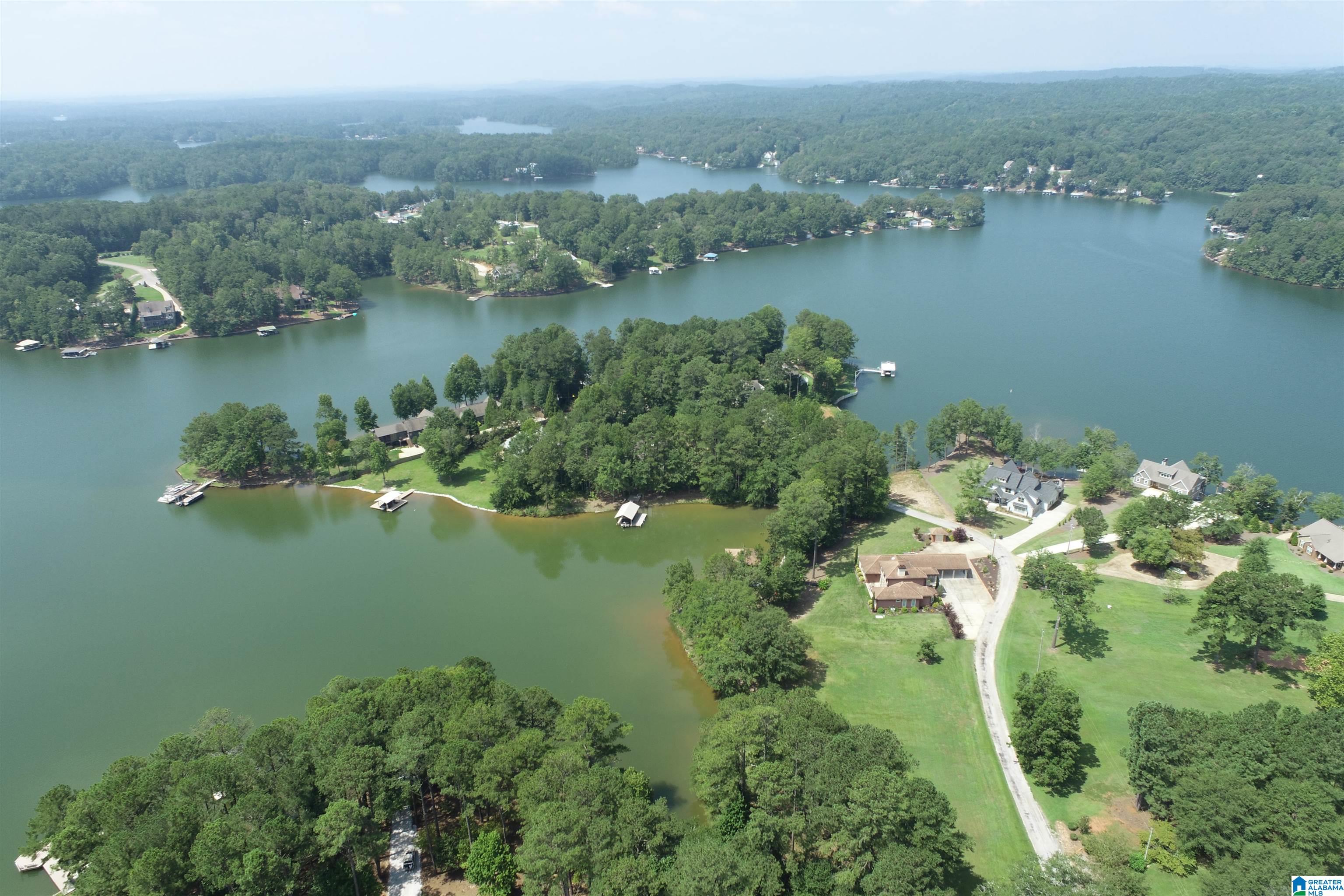 0 Wylie Road Wedowee, AL 36278 - Photo 7 of 10