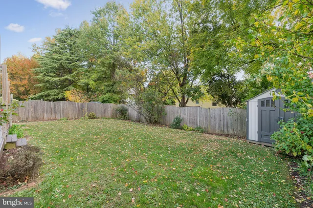 a view of a backyard with large trees and wooden fence