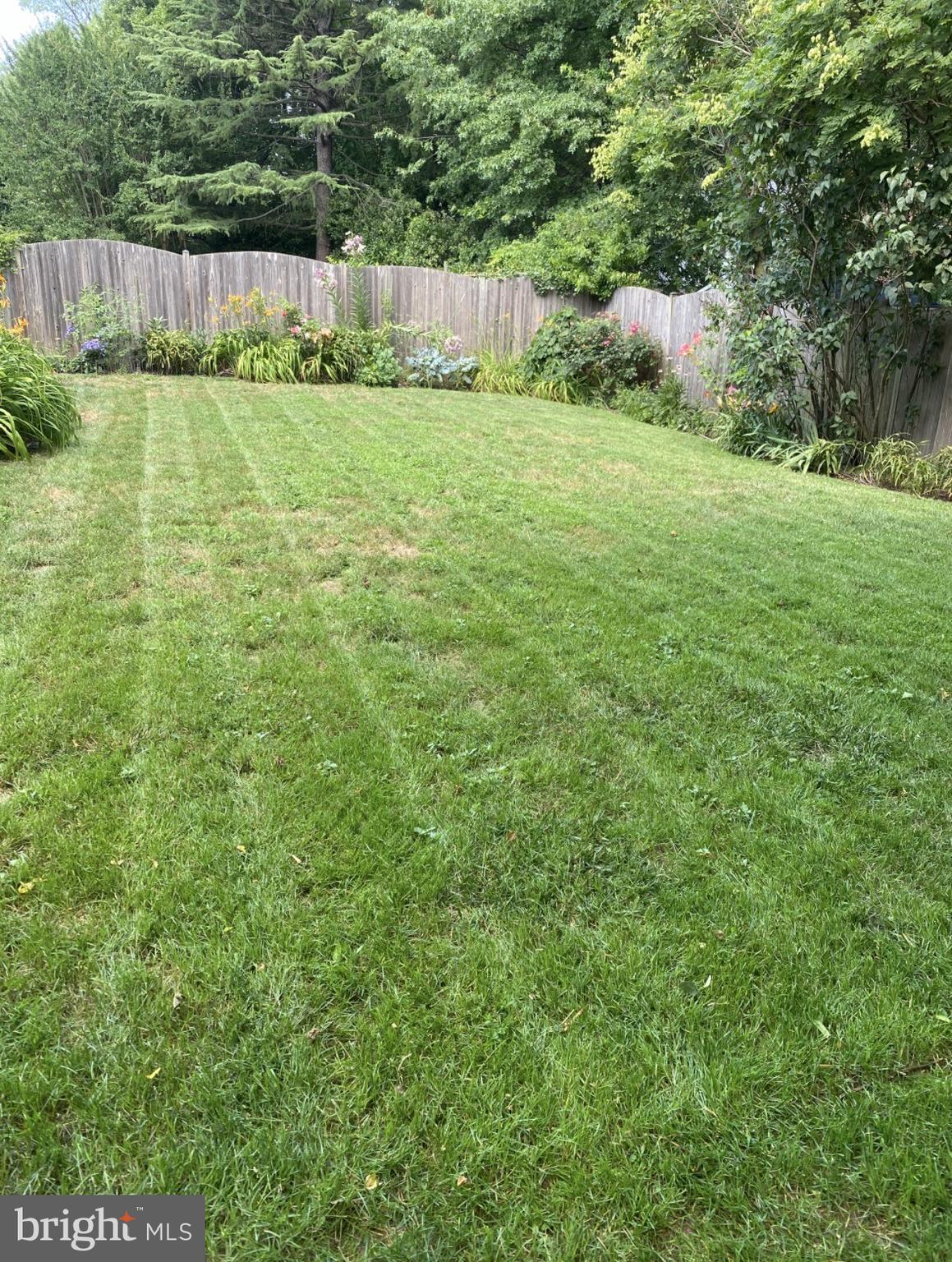 10109 Renfrew Road Silver Spring, MD 20901 - Photo 46 of 46